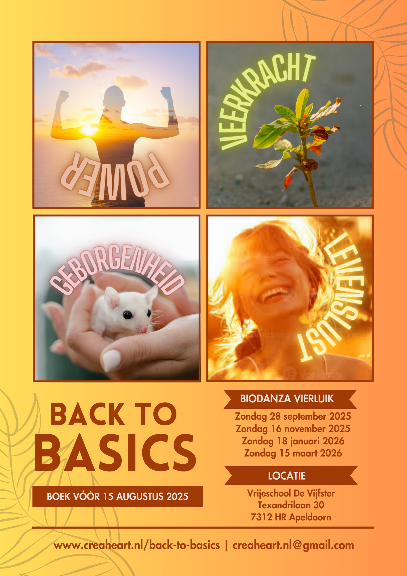 Back to Basics