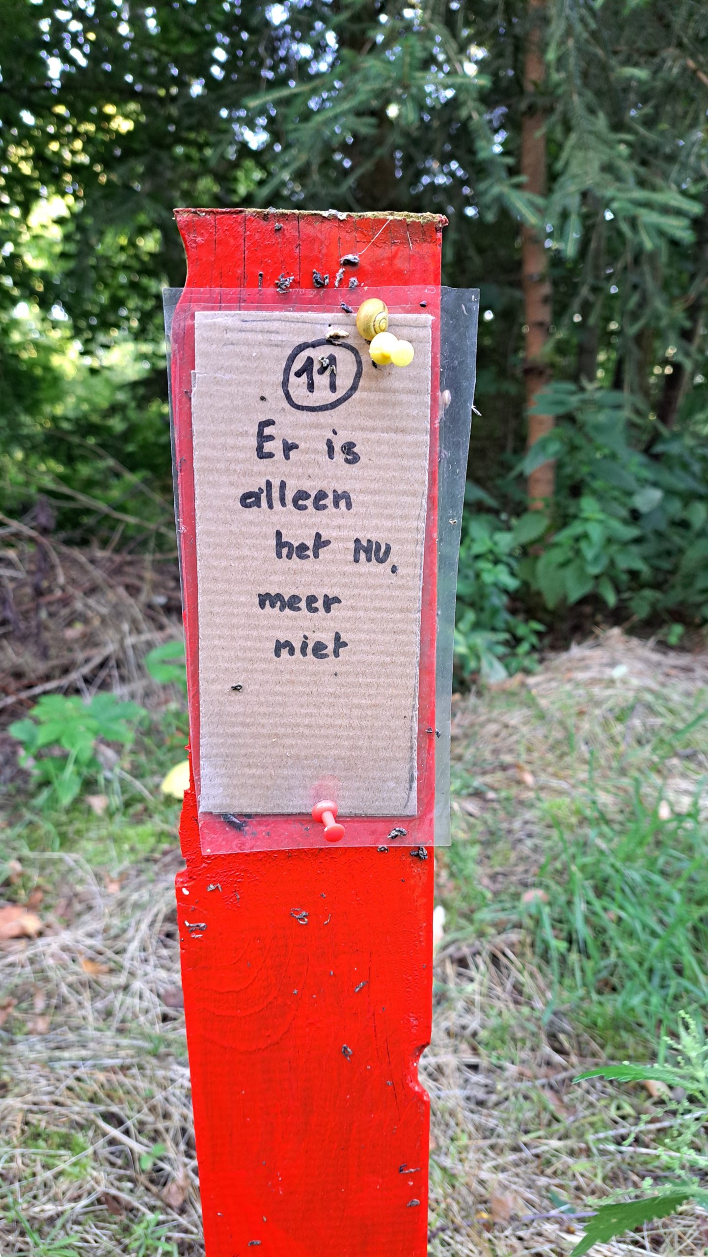 Er is alleen het NU, meer niet