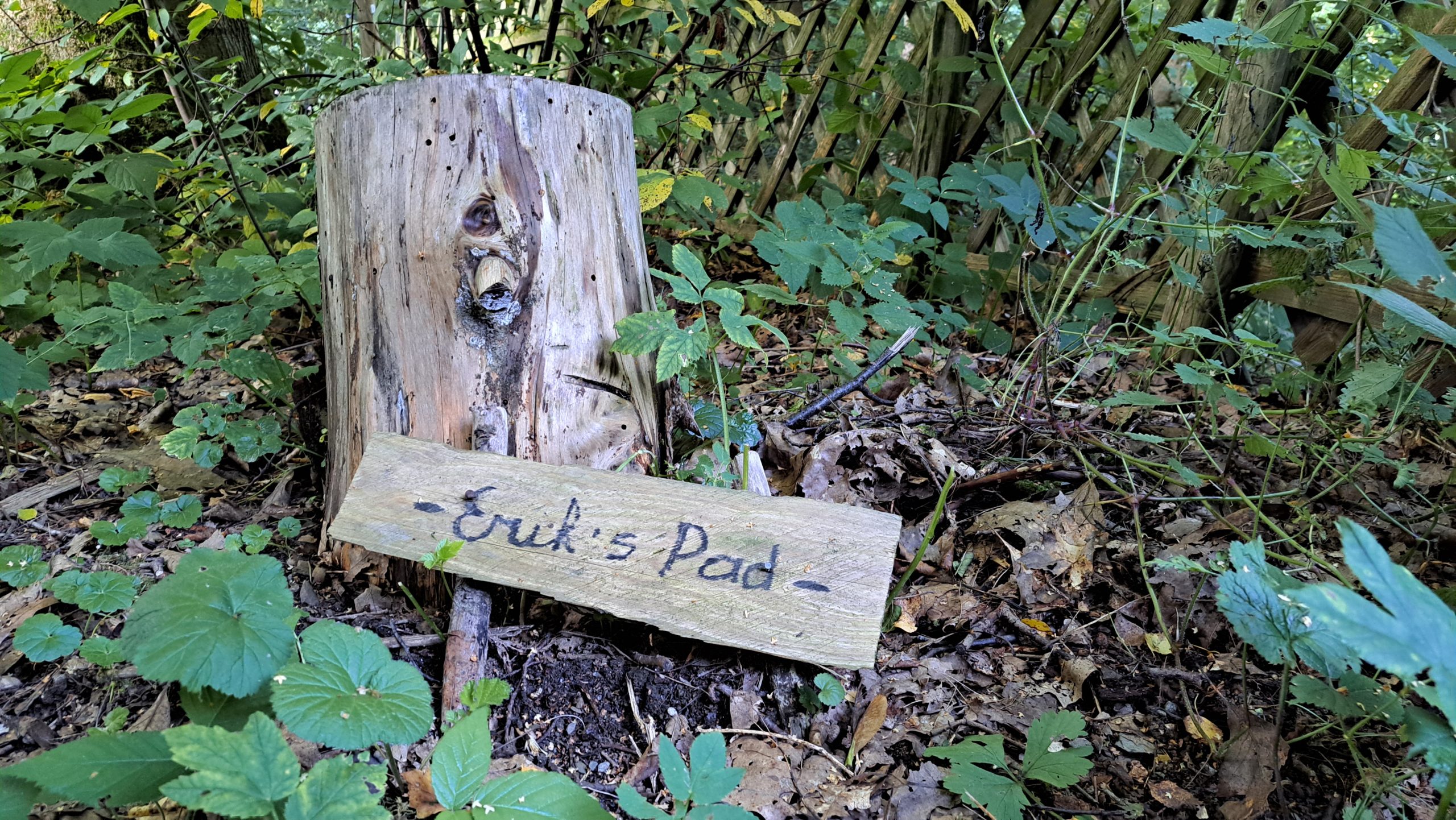 Erik's Pad