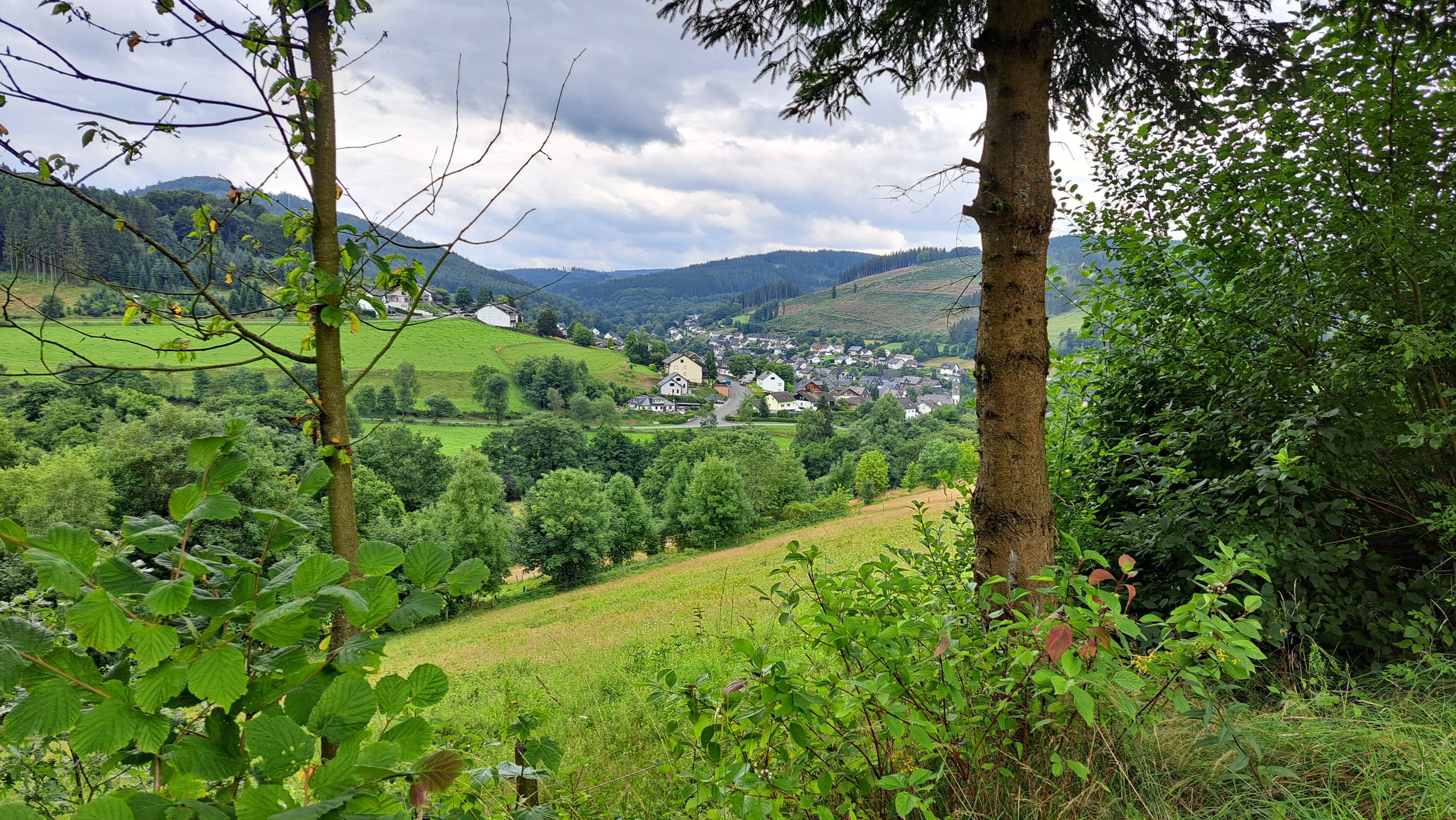 Uitzicht