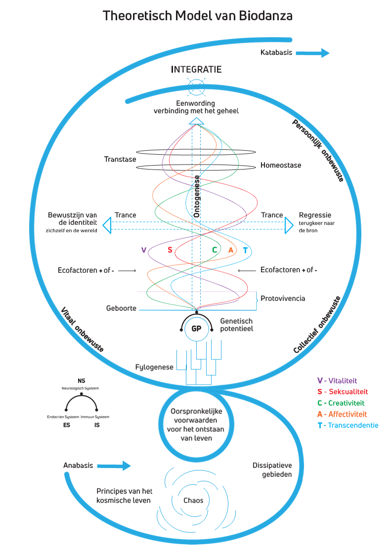 Theoretisch Model Biodanza